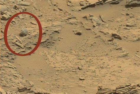 Sasquatch Skull Discovered On Mars Unexplained Mysteries