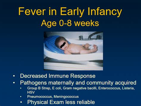 Chop Newborn Fever Pathway
