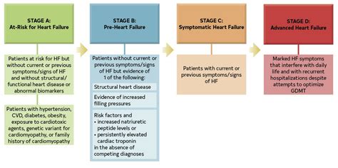 Acc Aha Heart Failure Classification Review Learn The Heart Learn