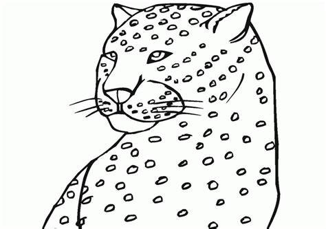 Jaguar Coloring Pages Free Printable Kids Coloring Pages