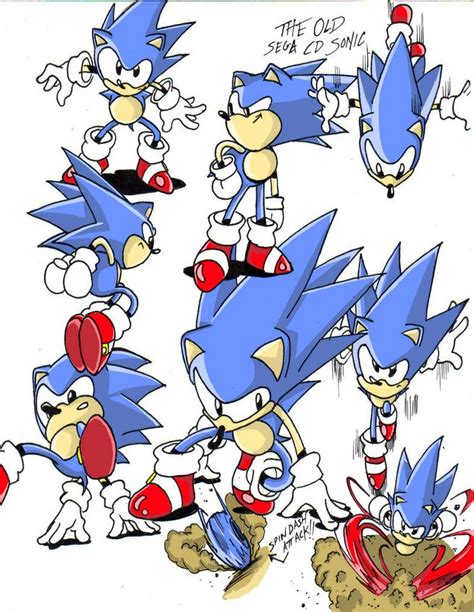 Pin On Sonic And Co
