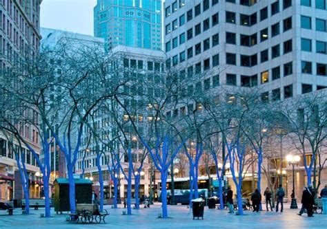 Seattles Blue Trees Highlight Global Deforestation Issues Urban Ghosts