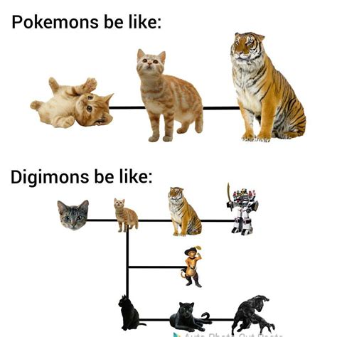 Pokemon evolution | meme remix by princesslunathefox. Pokémon Evolution vs. Digimon Evolution | Digimon | Know Your Meme
