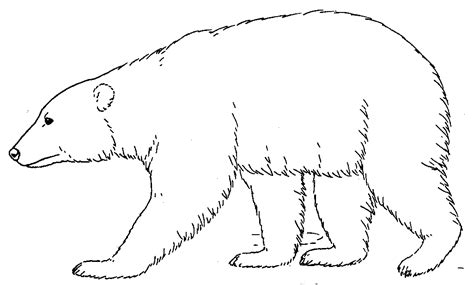 1) if you have javascript enabled you can click the print link in the top half of the page and it will automatically print the coloring page only and ignore the advertising and navigation at the top of the. Black Bear Coloring Pages | Polar bear color, Bear ...