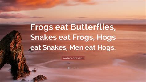 Wallace Stevens Quote “frogs Eat Butterflies Snakes Eat Frogs Hogs