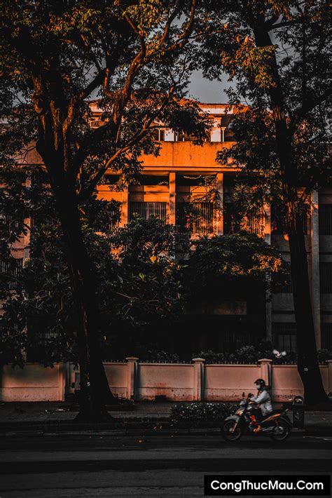 You can use these presets. Tải Preset Lightroom Black & Orange tone cam tối cool ngầu ...