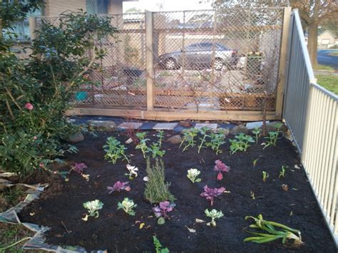 Lawn trimming can be difficult when stones are laid directly over grass, but weeds are less problematic when stones are set in the ground. No Dig Landscape Edging - Landscape Ideas