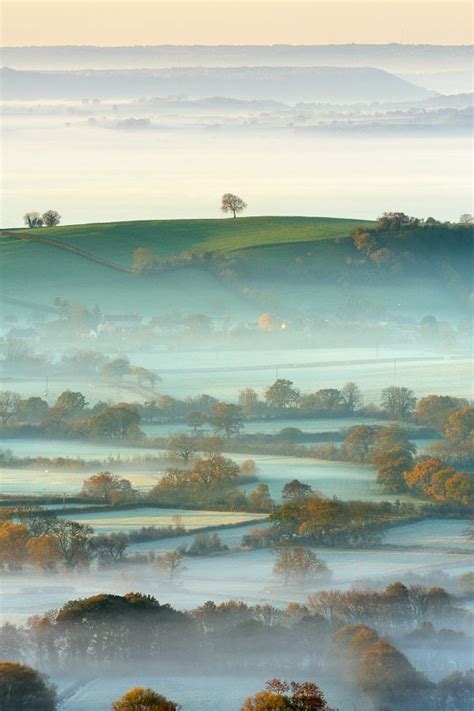 A Lone Tree On A Hilltop In Somerset On A Foggy Autumn Morning Image