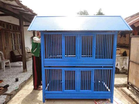 Model kandang kambing terbaik, kandang kambing semi umbaran, sangat bagus untuk kambing. 30 Unik desain kandang ayam dari baja ringan 20 Contoh Desain Kandang Ayam Sederhana nan Cantik ...
