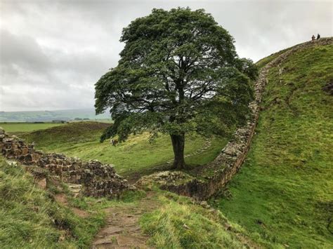 How To Walk Hadrians Wall Path In Depth Travel Guide In 2021