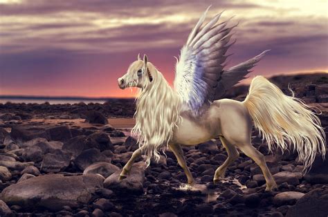 Magical Animals Stones Horses Pegasus Wings Fantasy Wallpaper