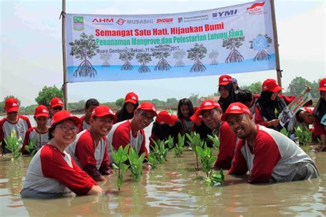 Ahm Bersama Sahabat Satu Hati Dan Save Mugo Tanam Mangrove Di Muara