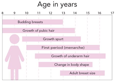 Stages Of Puberty Female