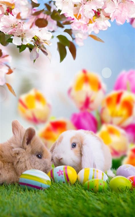 Take a look at all our easter facebook covers. Free Live Wallpaper Easter - Facebook Cover Happy Easter ...