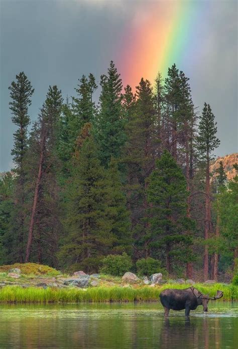 Pin By Barbara Wolfe On Rainbows Nature Photos Nature Pictures Photo