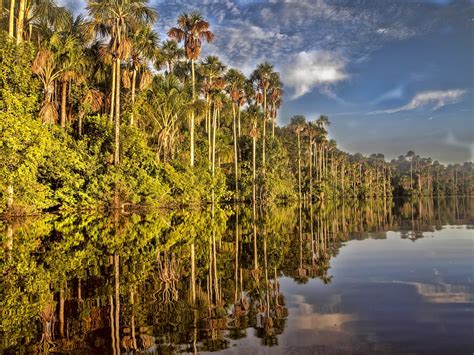 11 Tourist Attractions In The Amazon Rainforest You Must See
