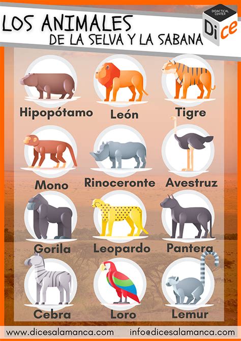 Infografía 391 Animales De La Selva Y La Sabana Dice Salamanca