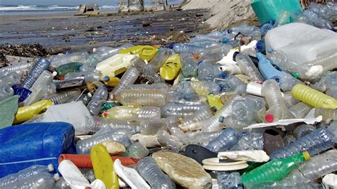 Más Del 80 De Los Residuos En Las Playas Bonaerenses Son Plásticos