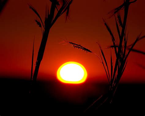 Fireball Sunset Photograph By Mark Andrew Thomas Fine Art America