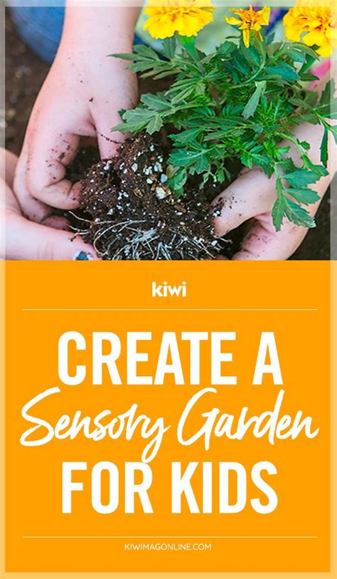How To Create A Sensory Garden For Kids Sensory Garden Gardening For