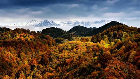 Romania Photo Of The Day By Dreamstime Carpathian Mountains In Autumn