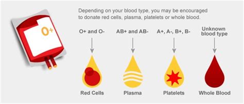 How Safe Is It To Donate Plasma Twice A Week