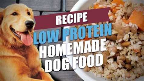 Turkey, spinach, carrots, pumpkins and cinnamon. Low Protein Homemade Dog Food Recipe (Cheap and Healthy ...