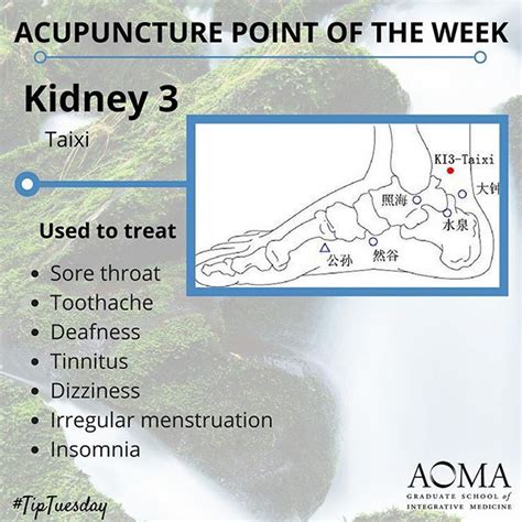 Tiptuesday Acupuncture Point Of The Week Kidney 3 Chinesemedicine