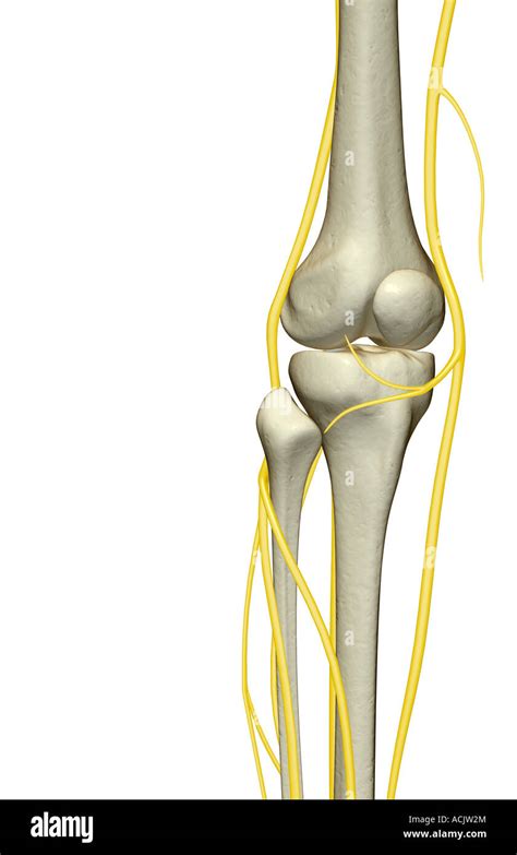 Simple Science: How to Make a Volcano with Kids