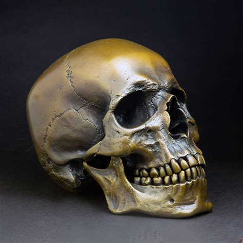 Human Skull Antique Bronze Raven Armoury Touch Of Modern