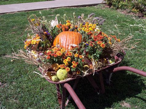 An Old Wheelbarrow Filled With Mums A Pumpkin And Lots Of Stuff I Found On The Farm