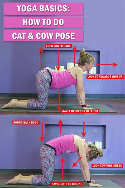 How To Do Cat Cow Pose Yoga Basics Learn The Technique Benefits