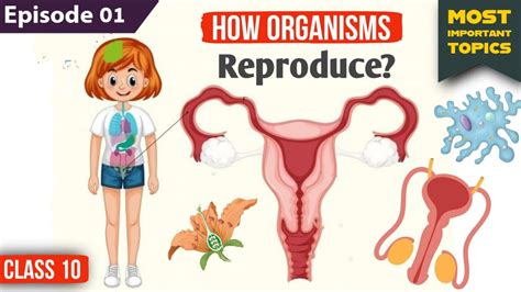 How Do Organisms Reproduce Class 10th Episode 01 Class 10 Science