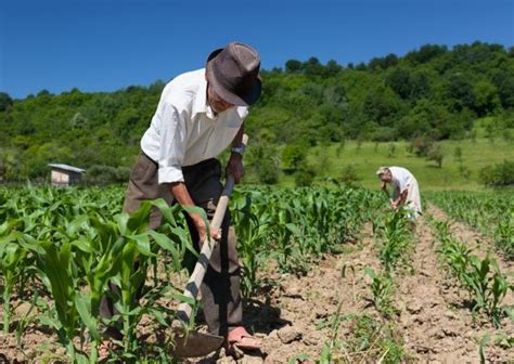 Para a cidade da argentina, veja 25 de mayo (misiones). Dia do Trabalhador Rural | 25 de maio - Calendarr