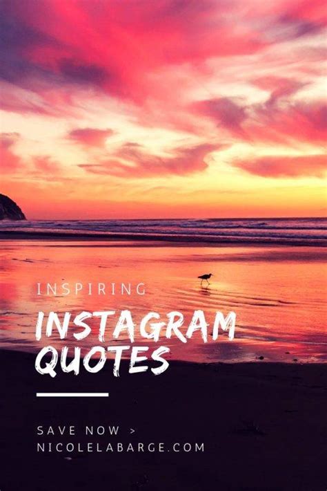 150+ Secret Instagram Bio Quotes to help you transform ...