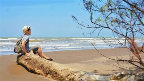 Jika anda ingin mencari alternatif liburan pantai yang mirip dengan pantai jimbaran, namun tidak seramai pantai. Tiket Masuk Pantai Wonokerto 2020 - JadwalTravel.com