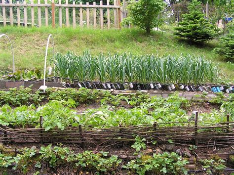 Terraced gardening gardeners' corner kids' garden sustainable garden contact us. WSHG.NET BLOG | Terracing a Vegetable Garden | Featured ...