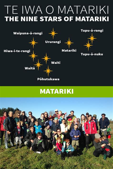 Te Iwa O Matariki The Nine Stars Of Matariki Kiwi Conservation Club