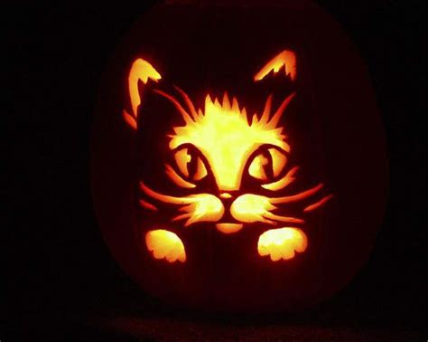 Cat Face With Pumpkin Background Pumpkin Carving Cat Pumpkin Carving