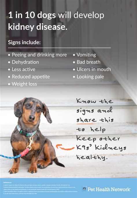 Facebook Graphics Chronic Kidney Disease In Dogs Graphics