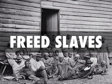 Freed Slaves By Julia Davis