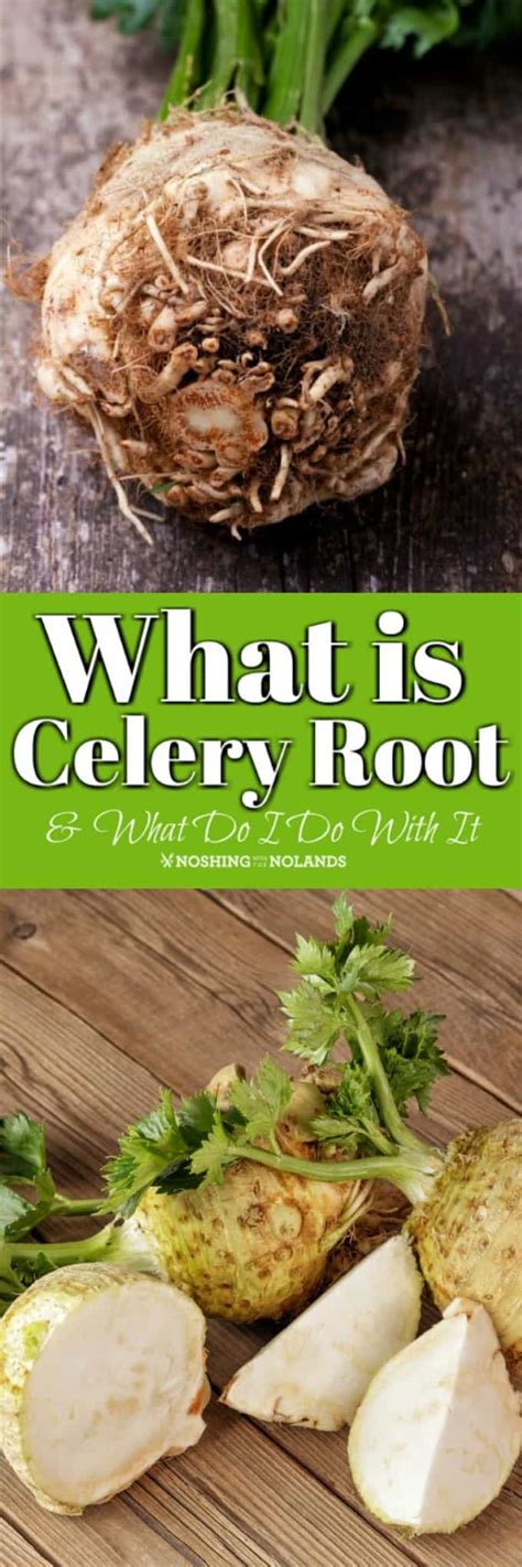 We did not find results for: What is Celery Root {Celeriac} and What Do I Do with It?