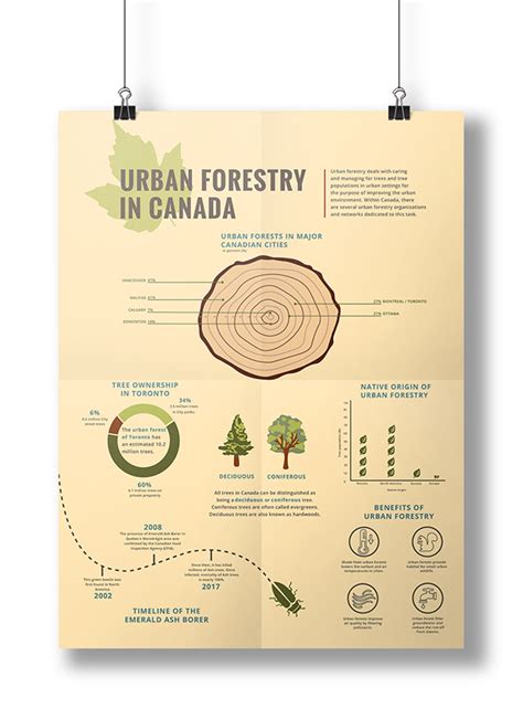Information Design Urban Forestry In Canada On Behance