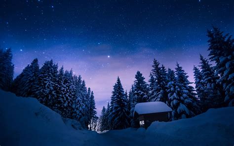 Trees Snow Winter Night Stars Cabin Path Trail Trees Sky Wallpaper