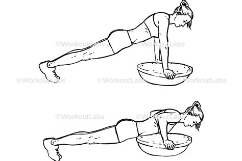 Bosu Ball Push Ups Pushups Workoutlabs Exercise Guide