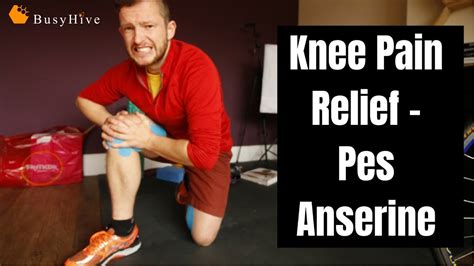 Knee Pain Steps How To Treatment Pes Anserine Youtube
