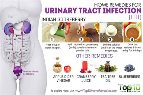 home remedies for urinary tract infection uti top 10 home remedies