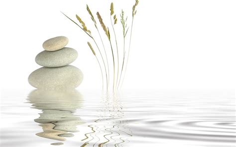 Zen On Top Waters Nature