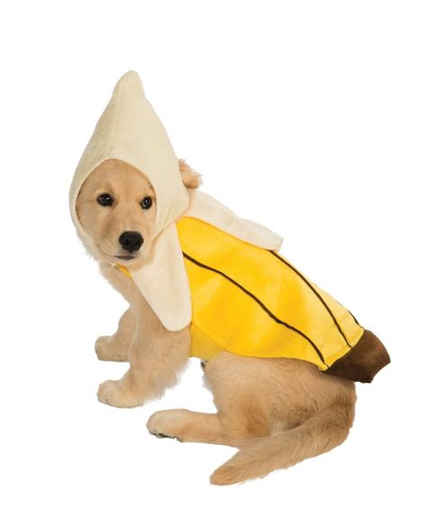 Top 20 Best Cute Dog Costumes For Halloween In 2017