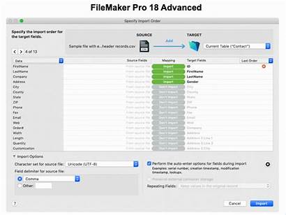 Filemaker Interface Updated User Improved Importing Data